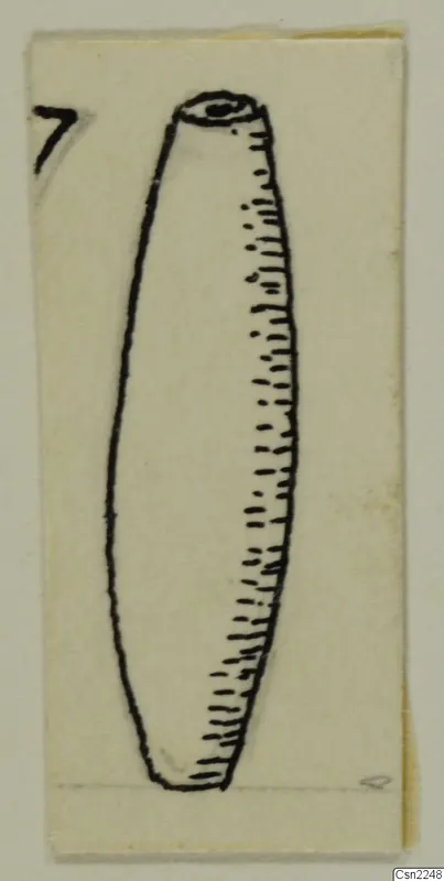 Pen drawing of an elongated cylindrical object with a small hole at one end, from Amathus