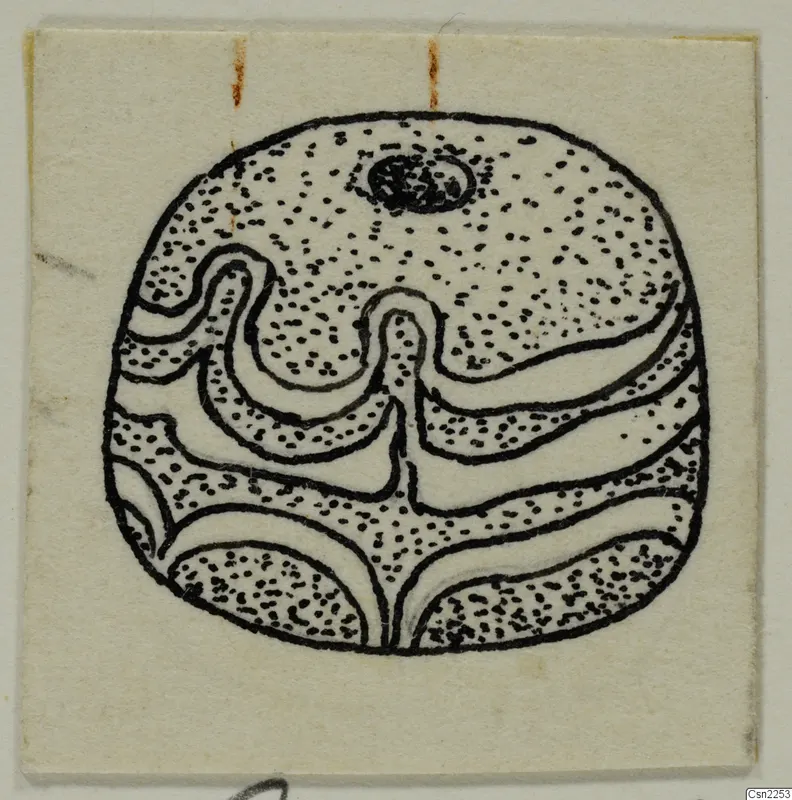 Ink drawing of a rounded object with a small hole near the top and curving bands of stippled and plain areas