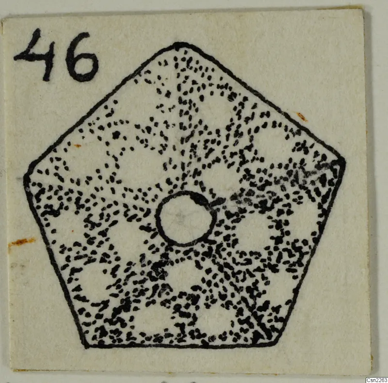 Drawing of a flat pentagonal object with a central hole and a stippled dotted pattern, with a number label in the corner