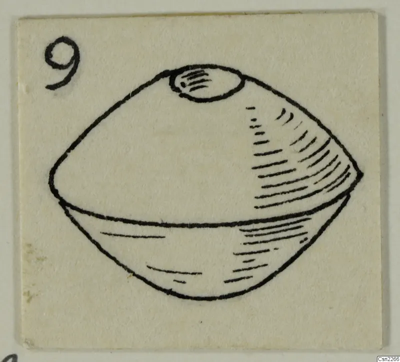 Pen drawing of a small object with a bulging body and a perforated oval top, on a card with a number label