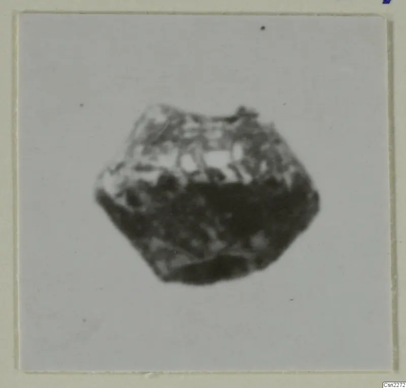 Small faceted object with a mottled, textured surface, shown centred on a white background