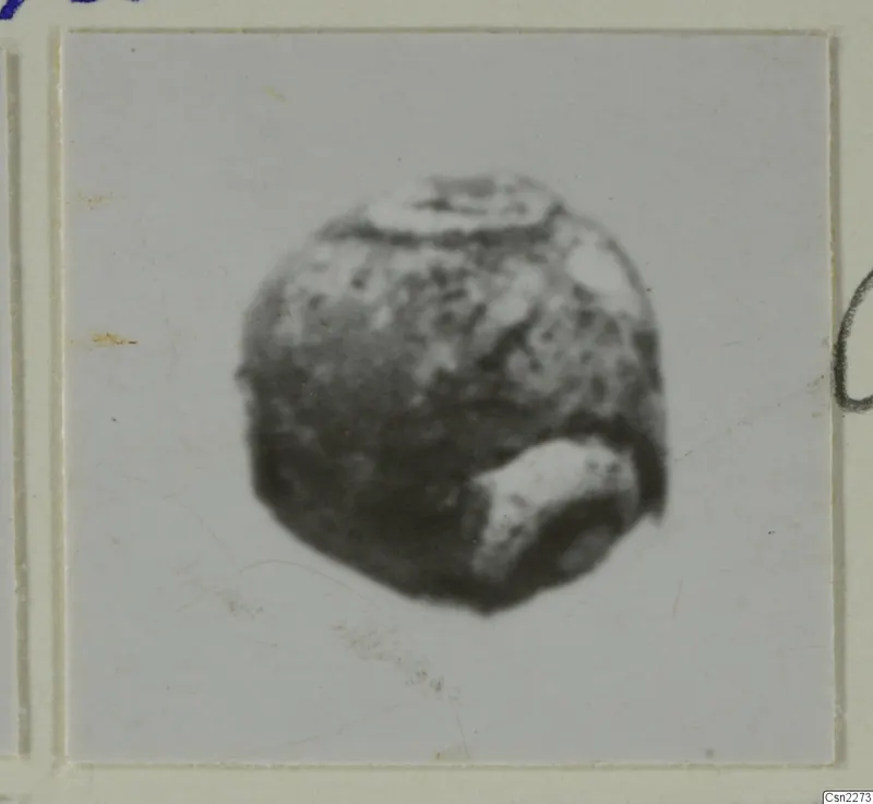 Small rounded bead with a hole opening at its lower right, shown close up on a card mount