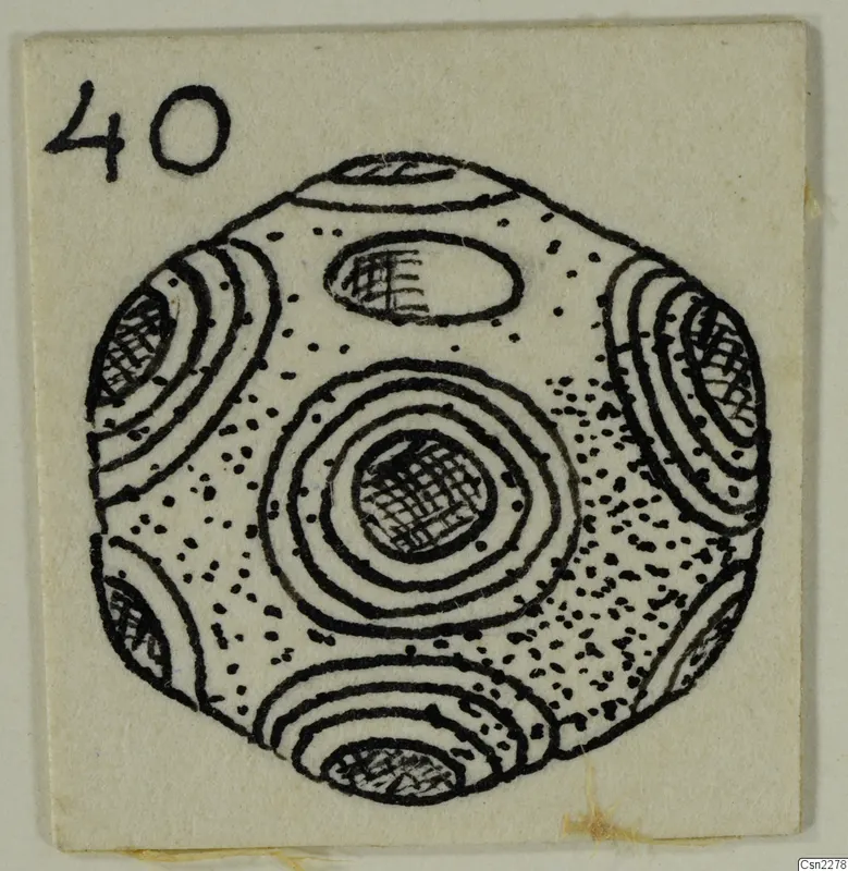 Ink drawing of a round object with concentric rings, cross-hatched patches and stippled dots, on a card mount