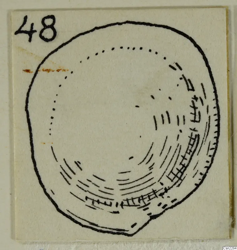 Ink drawing of a rounded object from Vouni with hatched shading along its lower edge