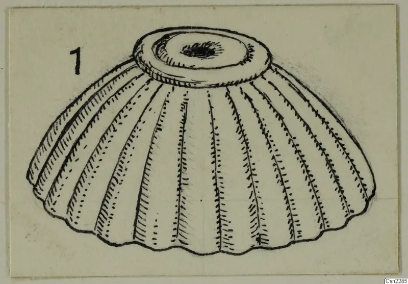 Pen drawing of a ribbed, dish-shaped object with a flat raised rim, on a card, from Amathus tombs