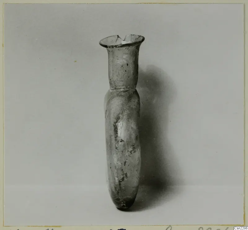 Blown glass vase with a flared rim and long narrow neck, photographed on a plain backdrop.