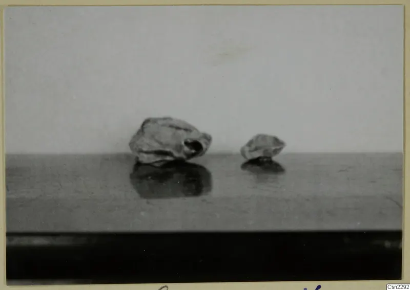Two small pieces of blown glass on a dark reflective surface against a pale grey background