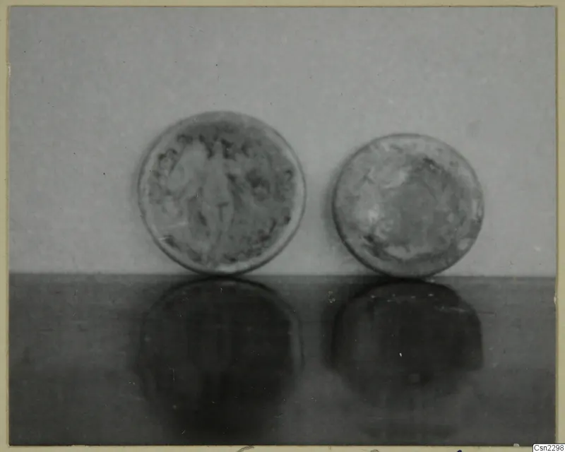Two round objects standing upright on a glossy surface against a plain grey backdrop, with their reflections below