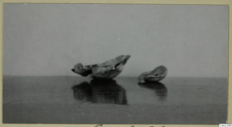 Two blown glass pieces on a smooth surface, from Vouni, photographed against a plain grey background.