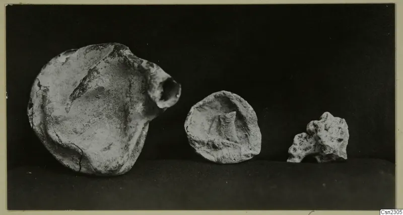 Three weathered fragments of blown glass lying in a row on a dark background