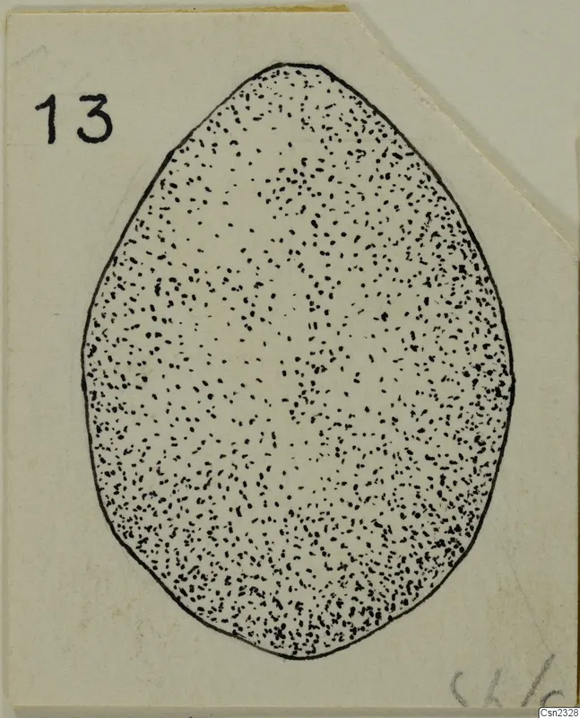 Drawing of an egg-shaped object with a stippled surface, shown on a card with a number label, in the Vouni metalwork series