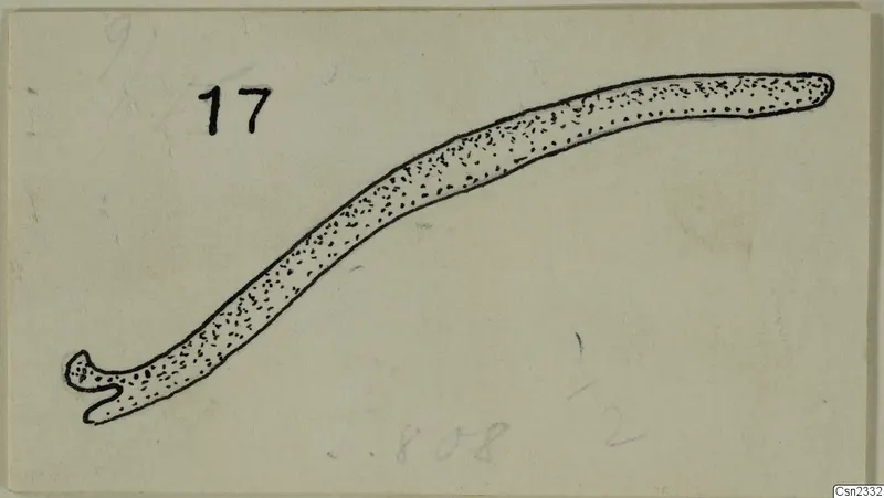 Pen drawing of a curved lead strip with a hooked end, from Idalion