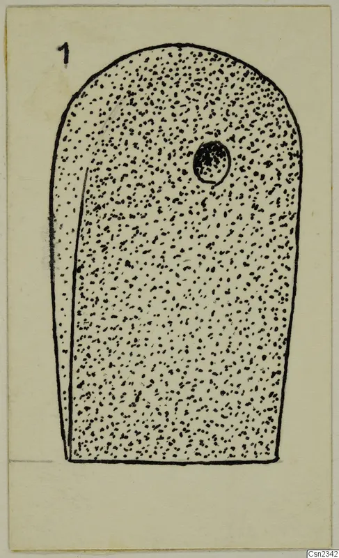 Field drawing of an axe with a single hole near the top, shown in stippled outline