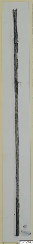 Long, narrow corroded metal object lying lengthwise on a pale card.