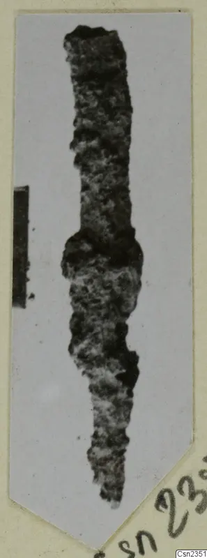 Corroded iron knife, a long narrow object with a swelling near the middle, shown on a card mount
