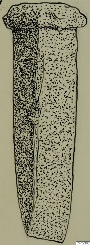 Ink drawing of a single elongated nail-like object with a wide, flattened head and a long shank, shaded with stippling.