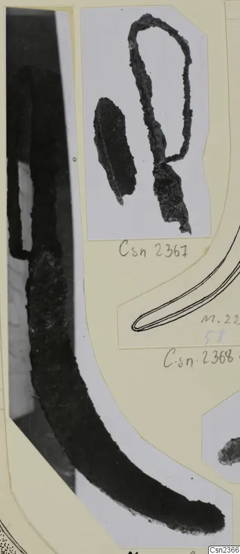 Photo mount of corroded iron tools: a long curved strigil and a looped iron fragment