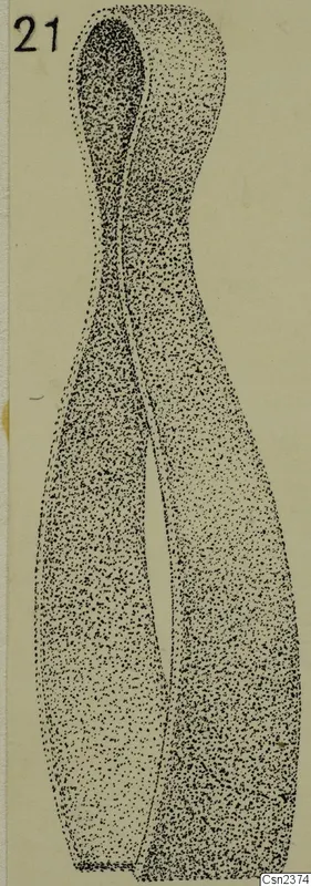 Drawing of an iron tool from Ayia Irini with a looped top and two long tapering arms