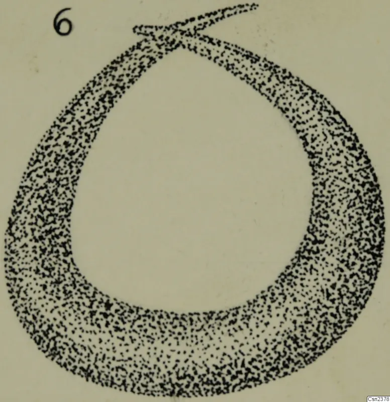 Stippled drawing of an iron object shaped as a thick loop with a tapering tail, with a handwritten number label.