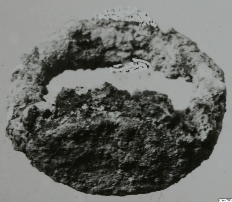 Corroded, encrusted metal object, roughly oval, with a pale hollow across its upper part