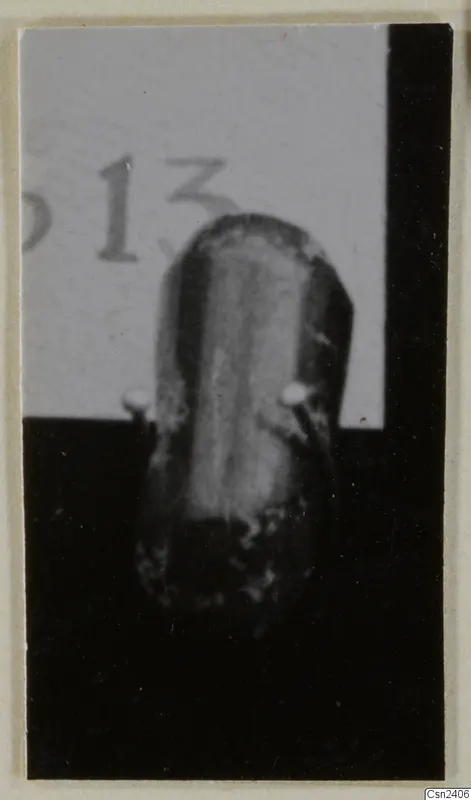 Elongated object standing upright on a dark ground, with part of a printed number label behind it