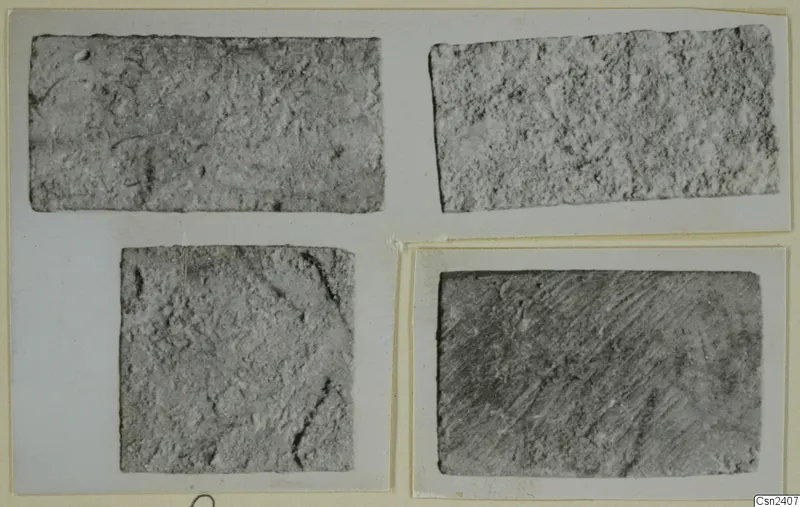 Four close-up photographs of grey, textured surfaces mounted together on a card, recorded as bone