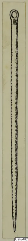 Drawing of a long, slender silver pin with a looped head that tapers to a point