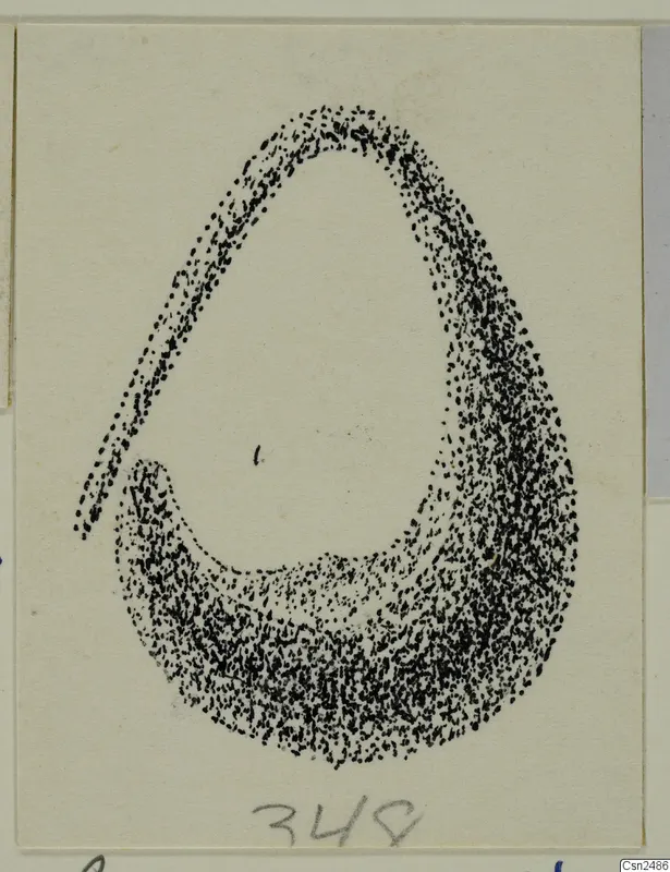 Stippled ink drawing of an open, loop-shaped object on a card, with a handwritten number label below