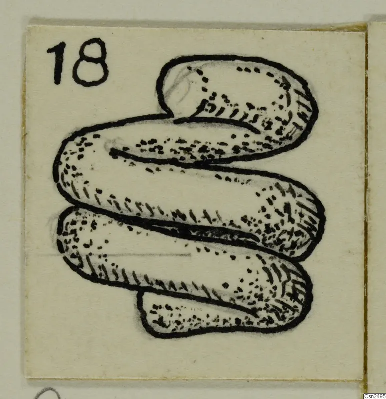 Drawing of a silver object: a thick tube coiled into overlapping S-shaped loops, with a number label.