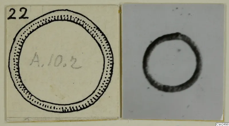 Silver ring from Amathus, shown as a pen drawing and a photograph