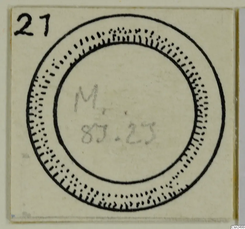 Ink drawing of a circular silver object with concentric outlines, from find M. 83. 23