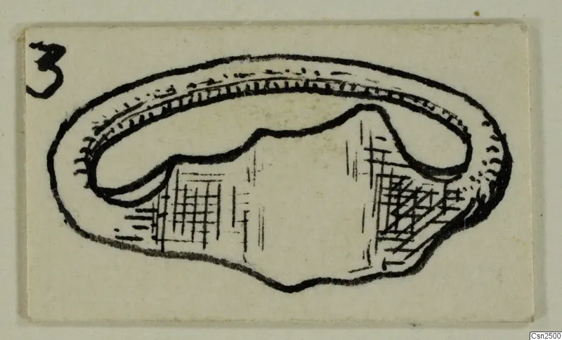 Ink drawing of a silver jewellery object, an oval open band with hatched shading, on a cream card
