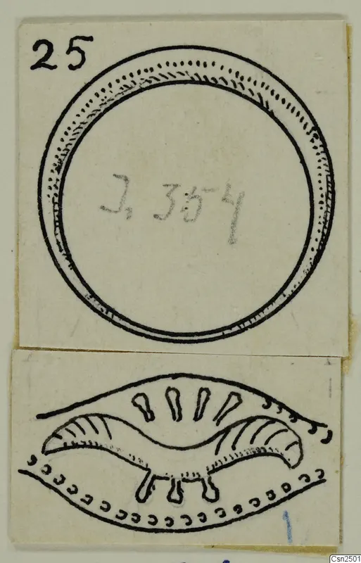 Ink drawings of two objects on cards: a circular object above and a curved, ridged object below.