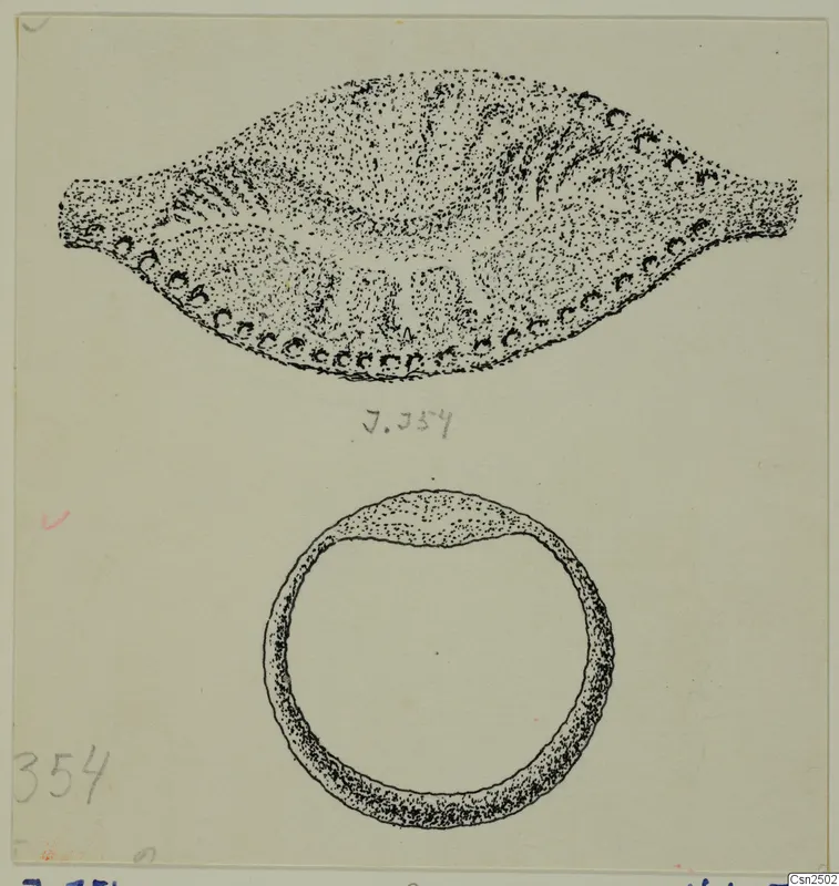 Drawing of a silver leaf-shaped object above a ring, both in outline with stippled shading