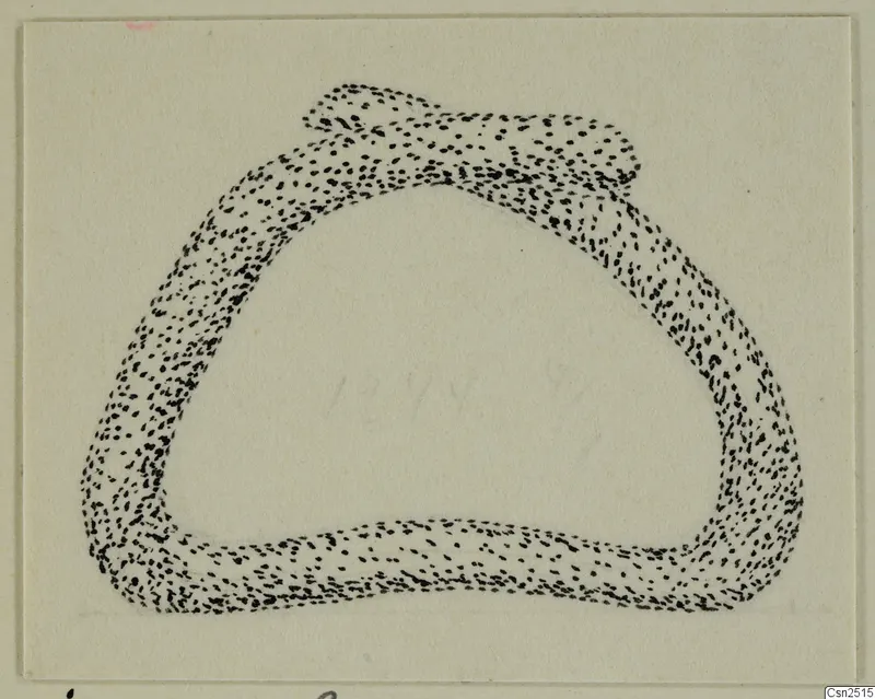 Stippled drawing of a silver object: a thick loop with a flattened knob at the upper edge.