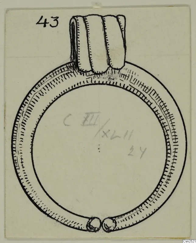Ink drawing of a silver ring with a broad ridged collar and two knob terminals at the bottom of the hoop.