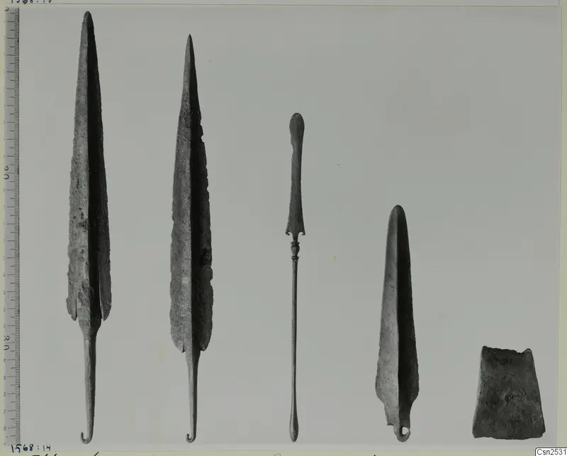 Five metal implements laid in a row after conservation, with a graduated scale ruler along the left edge.