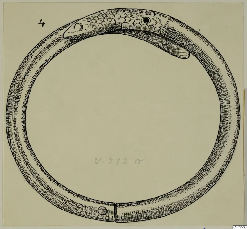 Ink drawing of a silver bangle with a scaled head at one end and a join with a round knob at the bottom