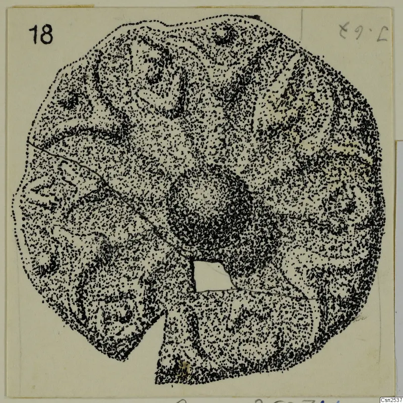 Stippled drawing of a silver object, roughly circular and flat, with a number label at top left