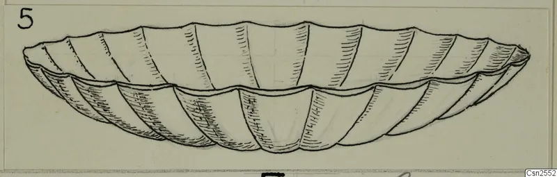 Pen drawing of a shallow silver bowl with lobed sides and a wavy rim, seen from the side