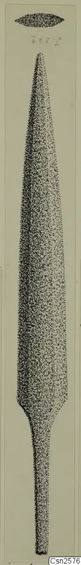 Drawing of a long, leaf-shaped bronze weapon blade with a narrow tang, with a small cross-section above it.