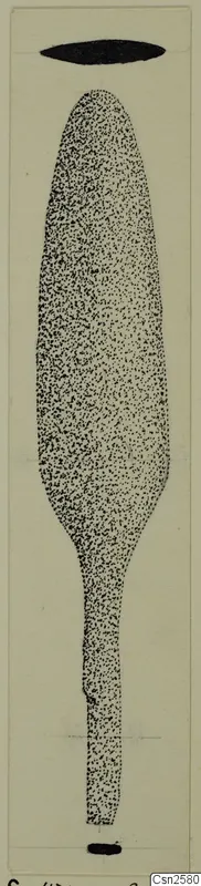 Drawing of a bronze weapon, a leaf-shaped blade with a long narrow stem, from Soli