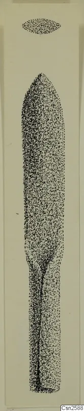 Stippled drawing of a bronze weapon blade with a pointed tip and tang, from Idalion