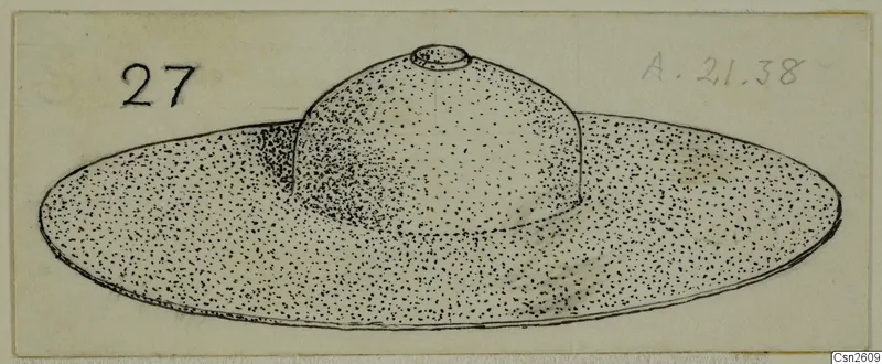 Drawing of a shield boss, low and domed with a small knob on top and a wide, flat rim below.