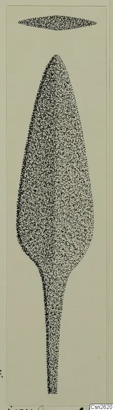 Drawing of a leaf-shaped metal blade with a long tang, with a cross-section above it, from Idalion