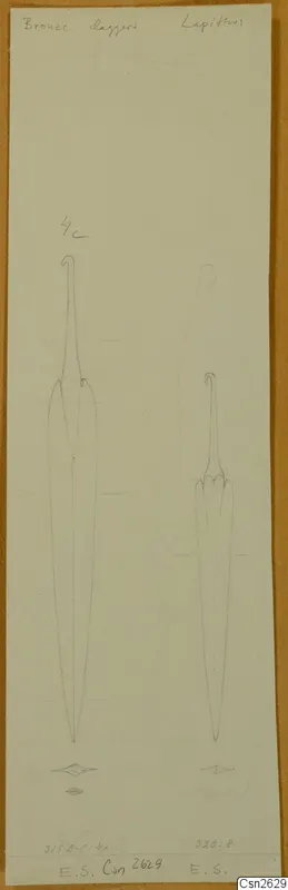 Pencil drawing of two daggers on a pale sheet, with handwritten notes and a number label above them