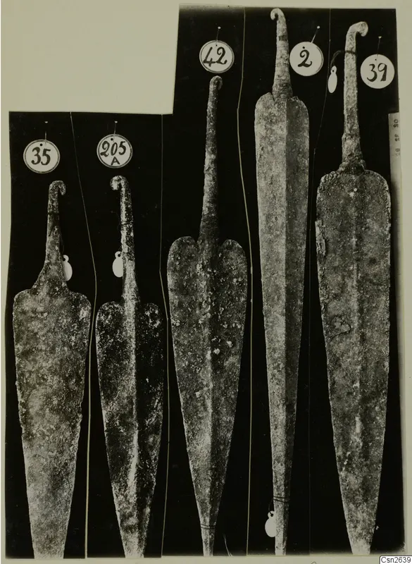 Five corroded metal blades with curled tangs, each with a round numbered tag, shown side by side on a black background.