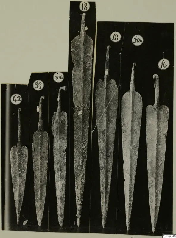 Seven corroded metal blades with tangs, each on its own black panel with a numbered label.