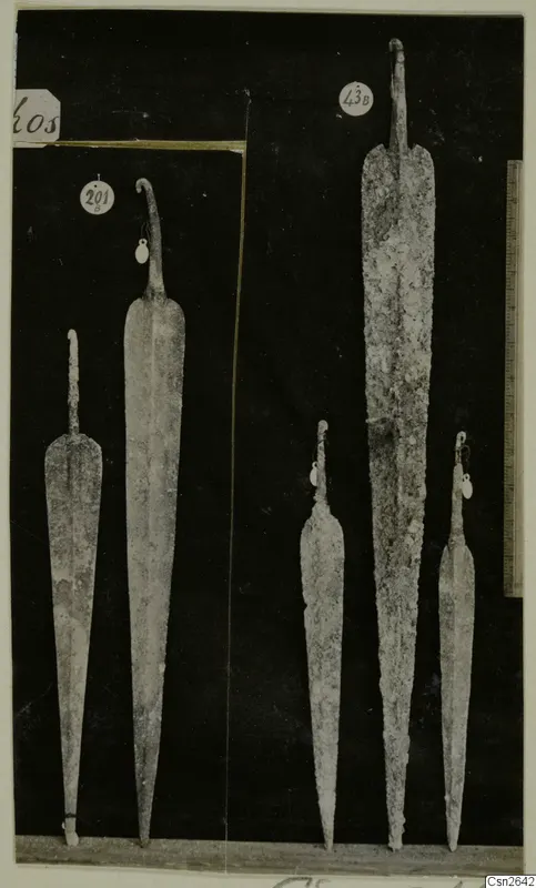 Five metal blades with tangs, photographed against a black background with number labels and a scale ruler.
