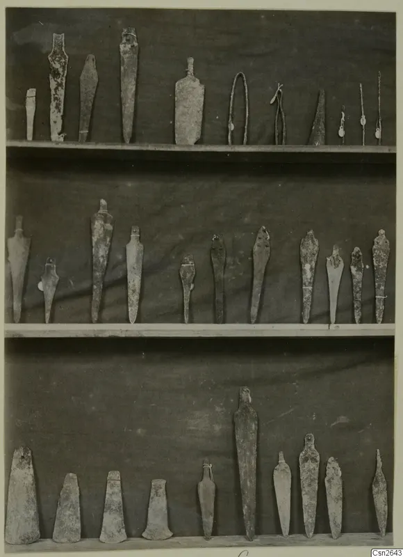 Metal weapons and tools laid out in three rows on wooden shelves against a dark cloth backdrop